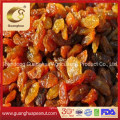 Hot Sale Good Quality Raisins From China